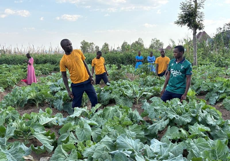 Students working and learning practical agriculture in the Bidii Schools school farm